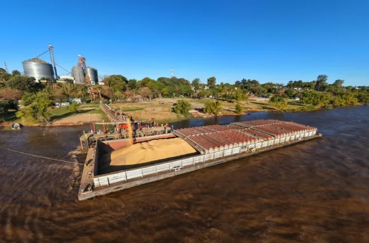 Avanza a buen ritmo la comercialización de granos entrerrianos