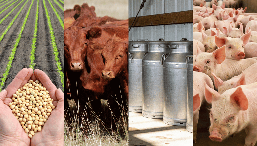 La rentabilidad del campo: en la carrera de los precios, solo la hacienda logró ganarle a la inflación