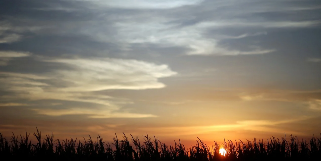 Perspectiva agroclimática: marcado ascenso térmico y precipitaciones insuficientes en gran parte del país
