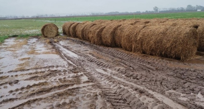 Las lluvias de enero y febrero tampoco estarán condicionadas por 