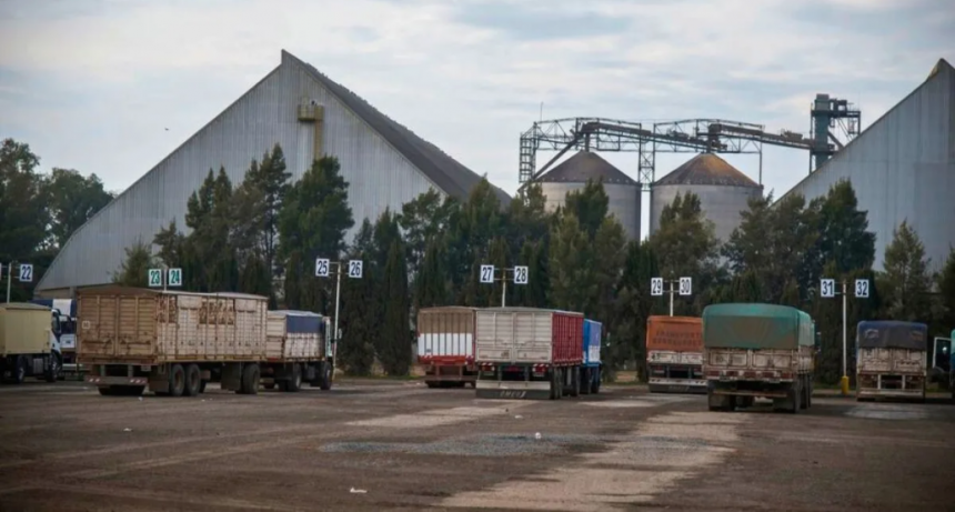 Camiones a puerto: 2025 tuvo el mayor ingreso de los últimos tres años
