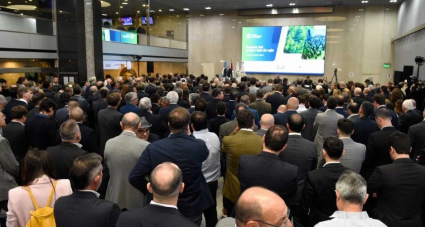 Abri&oacute; la recepci&oacute;n del Primer Lote de Soja: comienza formalmente la comercializaci&oacute;n de la nueva campa&ntilde;a