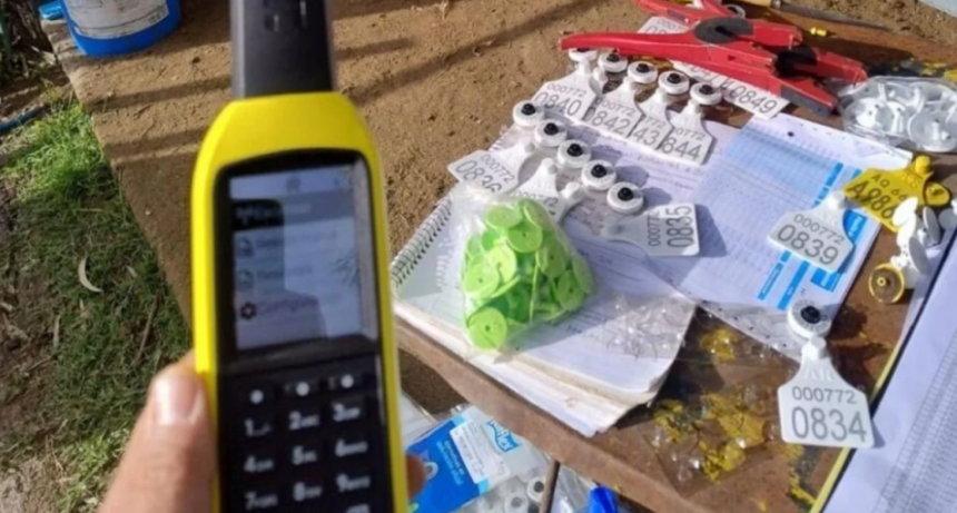 La caravana electrónica ya es una realidad: una herramienta clave para la trazabilidad ganadera