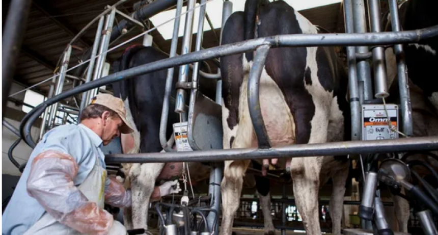 La producción de leche logró en 2025 su mejor nivel de la década en Argentina