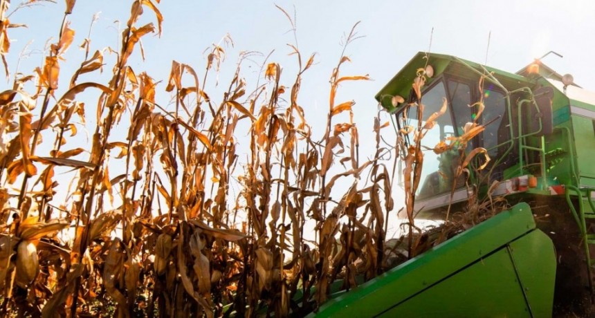 La campa&ntilde;a agr&iacute;cola 2025/26 mantiene un alto potencial productivo