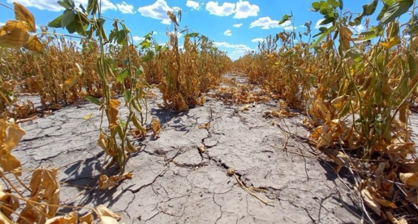 Emergencia agropecuaria: Nación avaló la prórroga solicitada por Santa Fe por la sequía