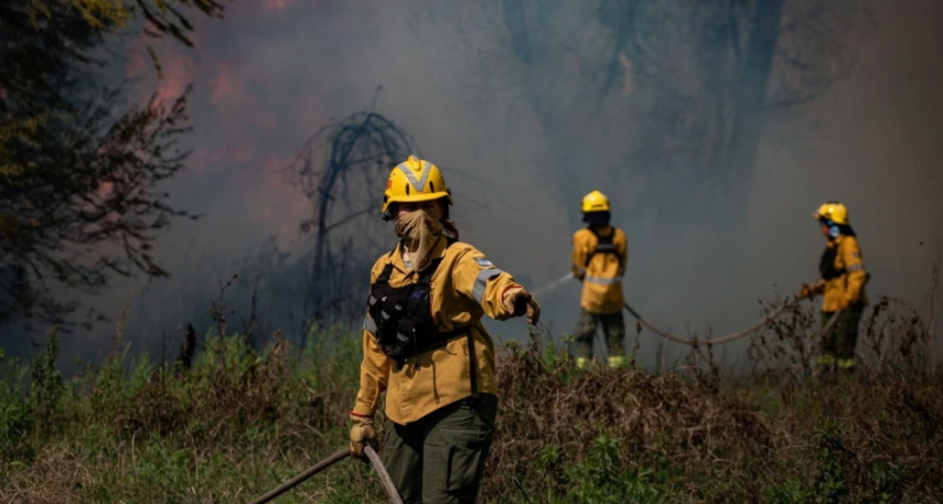 Alerta roja por incendios forestales: Provincia refuerza la prevención y pide compromiso social