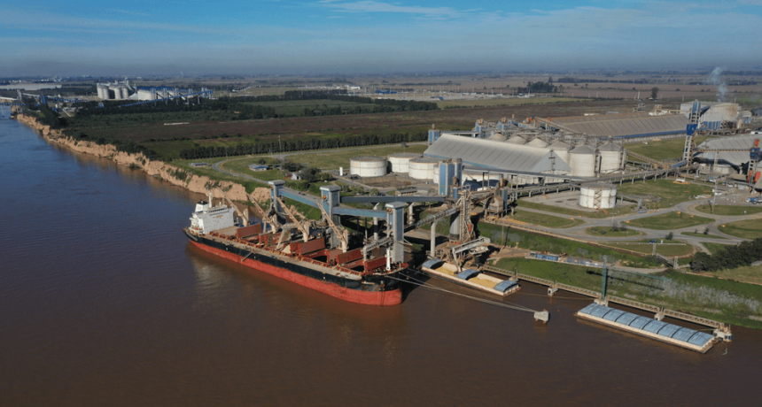 El trigo argentino es un “boom” global: se multiplican los envíos a China y pelea mercados hasta en el Mar Negro