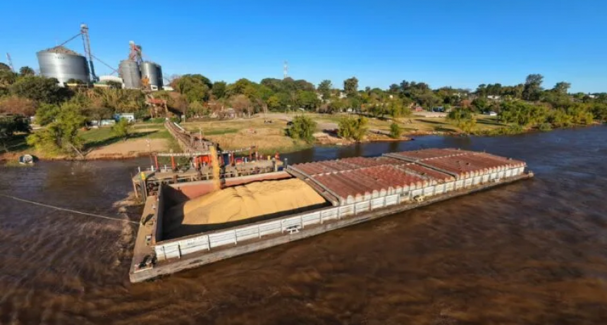 Avanza a buen ritmo la comercialización de granos entrerrianos