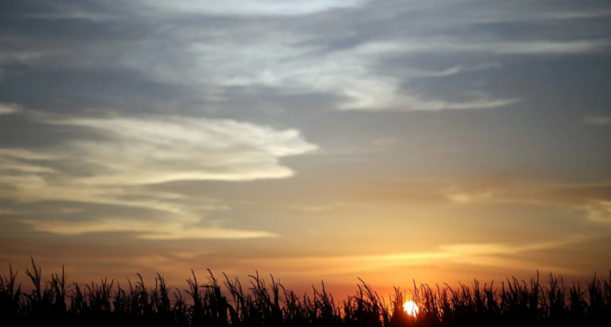 Perspectiva agroclimática: marcado ascenso térmico y precipitaciones insuficientes en gran parte del país