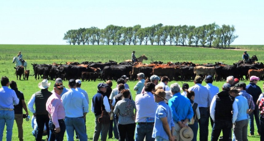 La pasi&oacute;n mundialista contin&uacute;a en 2023 con Brangus