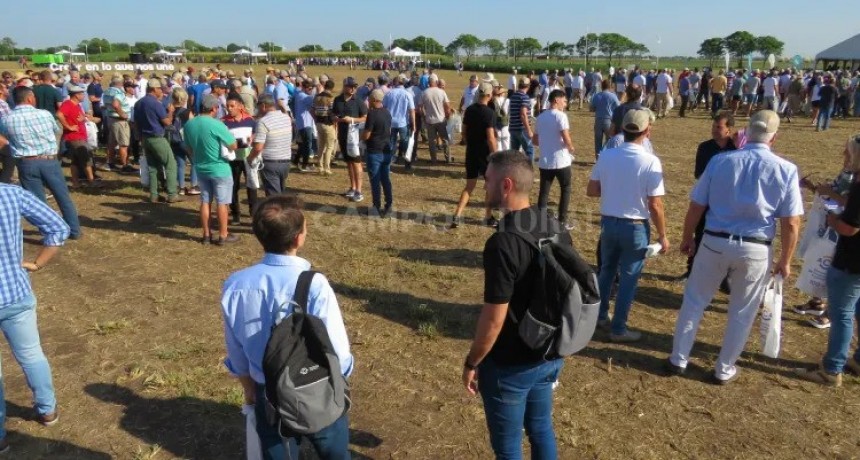 "A Campo Abierto" en San Agust&iacute;n