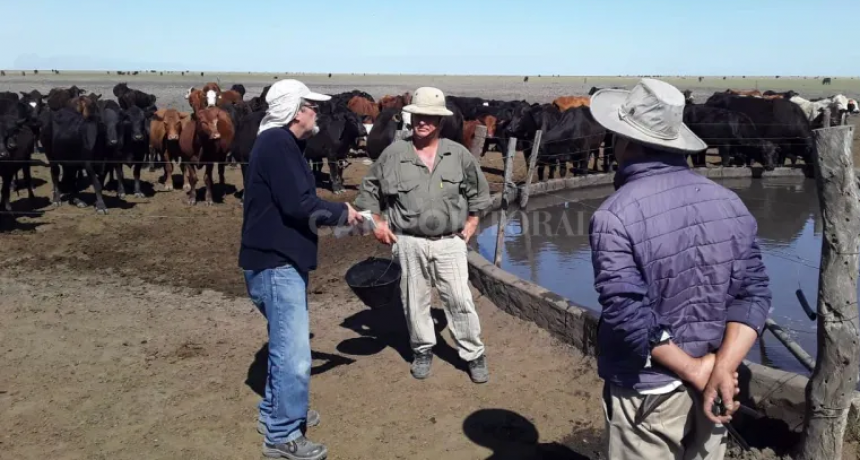 Tecnolog&iacute;as para evitar que la sequ&iacute;a vuelva a ser dram&aacute;tica 