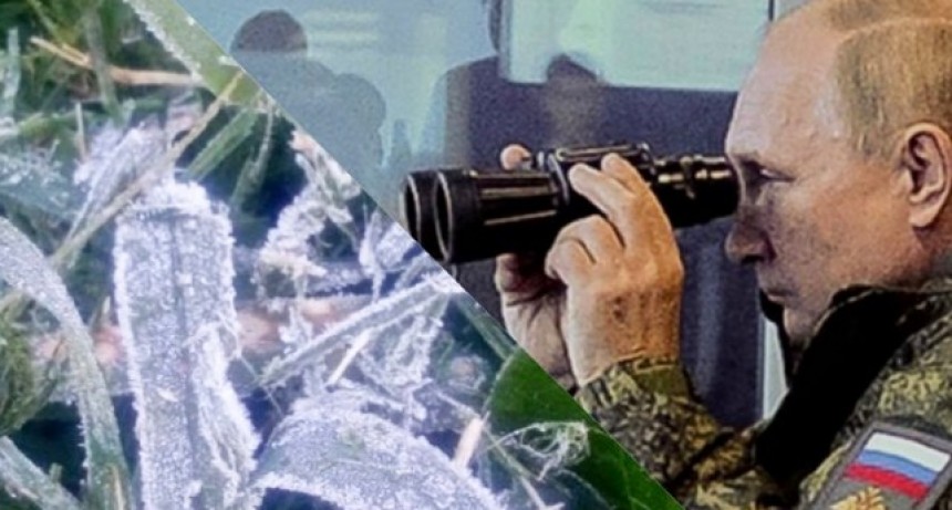 Chicago: subas para la soja por el clima en Argentina, bajas para el trigo por las tensiones en el Mar Negro