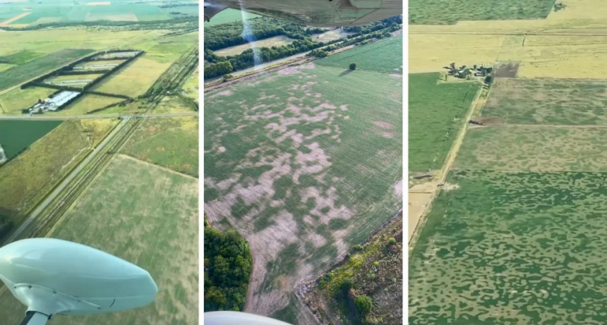 La realidad del agro en el sur de Santa Fe por la falta de lluvias: 