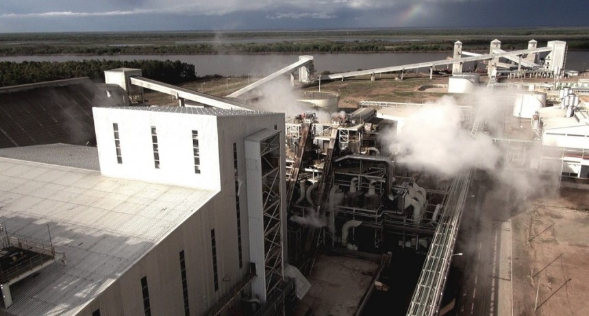 La molienda de soja creció 55% y la industria aceitera logró uno de los mejores años de su historia