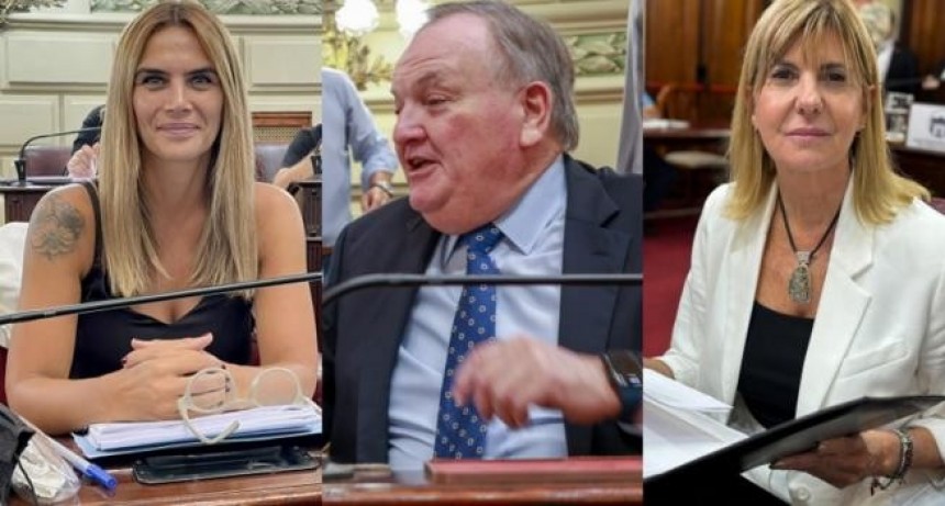 Alta tensión en la Legislatura: Granata cruzó a Michlig por llamarla atorranta e intervino Rodenas