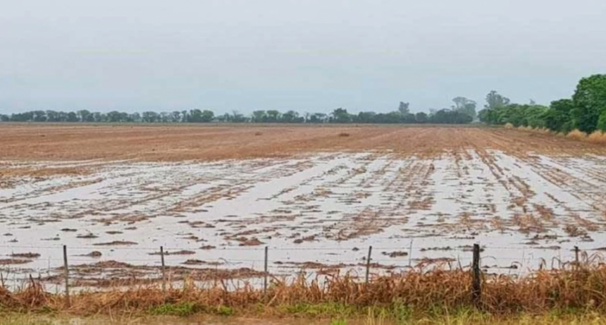 La llegada de un nuevo frente de tormenta, dejaría lluvias abundantes en el área agrícola 