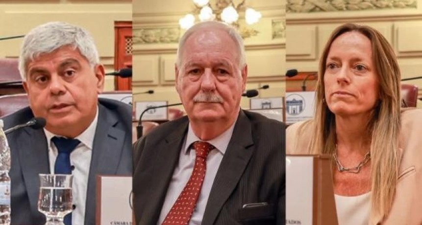  Vacantes en la Corte Suprema: aprobaron los pliegos de Baclini, Weder y Zabalza