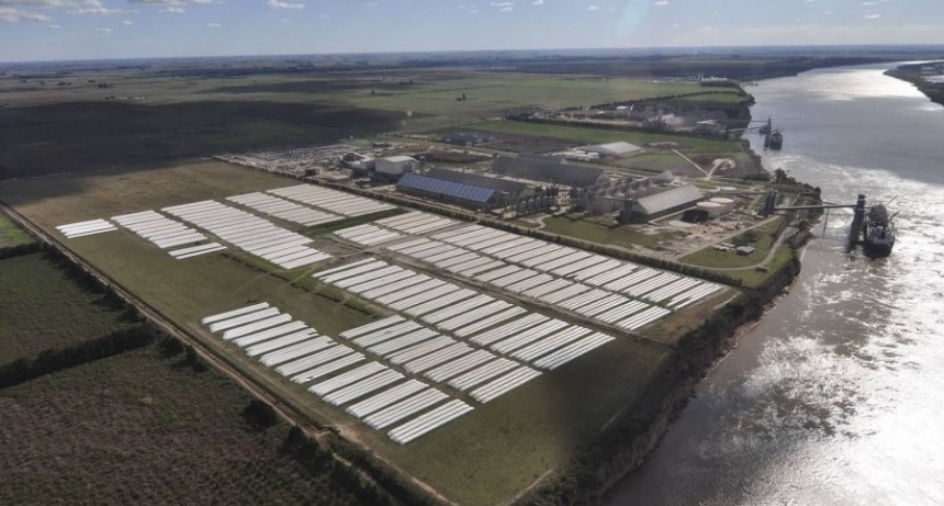 Con la soja y el maíz a la cabeza, las exportaciones del agro iniciaron el año con crecimiento