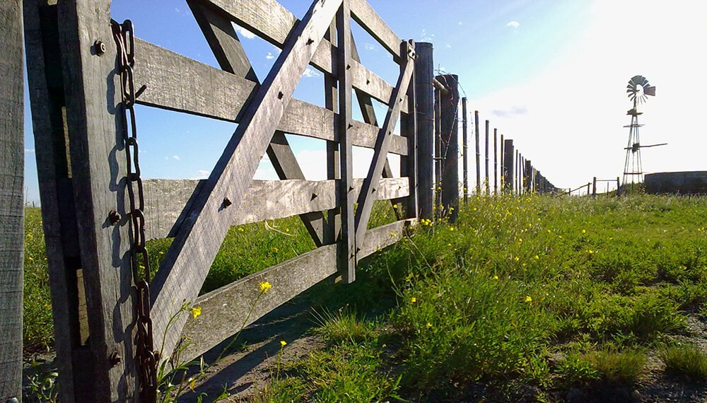 Mercado inmobiliario rural: una demanda intensa con una oferta escasa pone presión sobre los precios