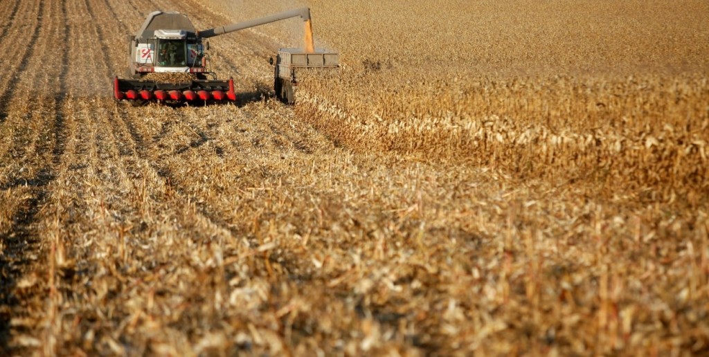 Precipitaciones oportunas en la etapa de definición de la soja temprana en el centro norte santafesino