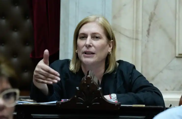 Gisela Scaglia: “La ley permite que menores desde los 14 años respondan penalmente por sus delitos”