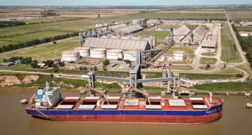 Maíz y trigo recuperan atractivo mientras la soja queda atada al clima