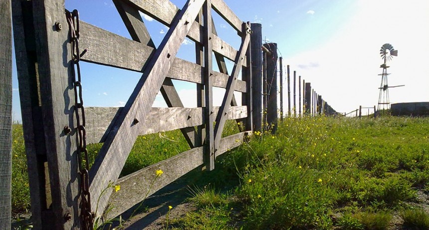Mercado inmobiliario rural: una demanda intensa con una oferta escasa pone presión sobre los precios