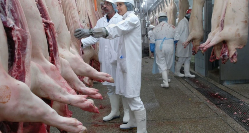 La producción porcina alcanzó en 2025 los mejores indicadores de su historia