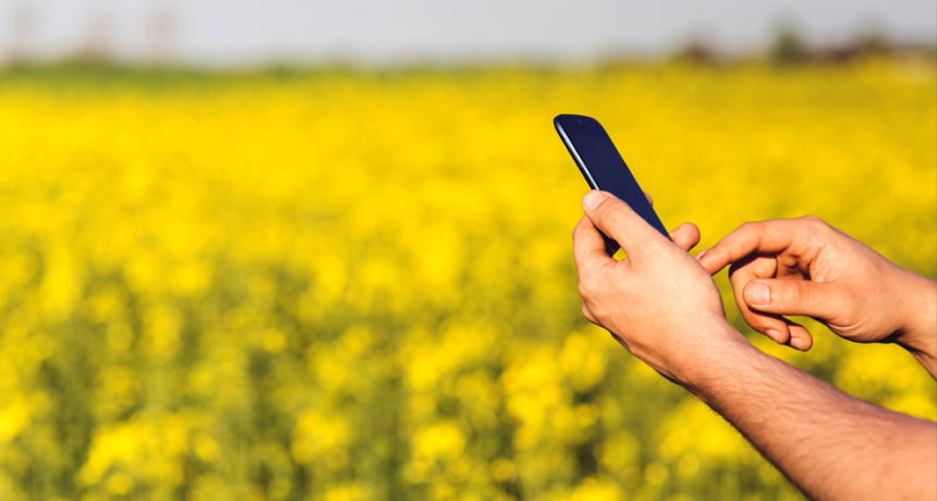 Anuario 2025: las 10 notas más leídas del año en Infocampo