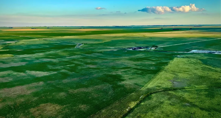 Once d&oacute;lares m&aacute;s por tonelada de soja: la agricultura regenerativa es un buen negocio