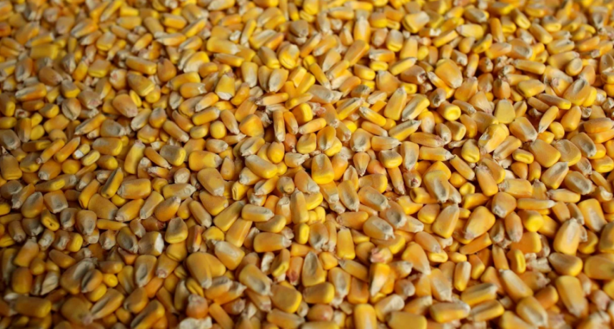 Cartas de porte: nuevas exigencias y m&aacute;s control para productores y operadores