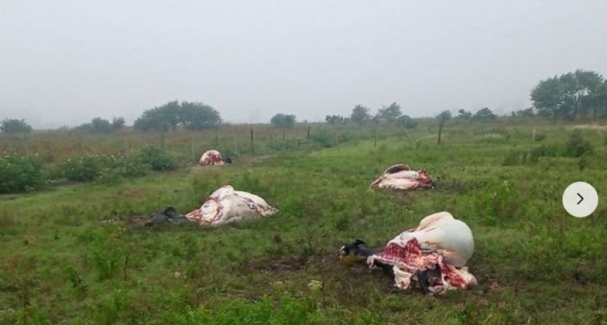 Reactivar&aacute;n en Santa Fe la Mesa de Seguridad Rural