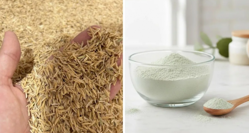 Valor agregado: transforman la c&aacute;scara de arroz en un nanomaterial a base de s&iacute;lice
