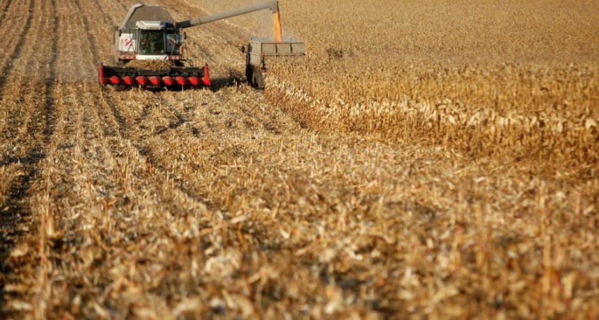 Precipitaciones oportunas en la etapa de definici&oacute;n de la soja temprana en el centro norte santafesino
