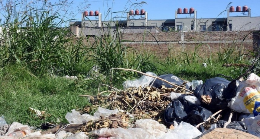 &iquest;Qu&eacute; hacer con los yuyales de los terrenos bald&iacute;os? En el Concejo de Santa Fe plantean una soluci&oacute;n