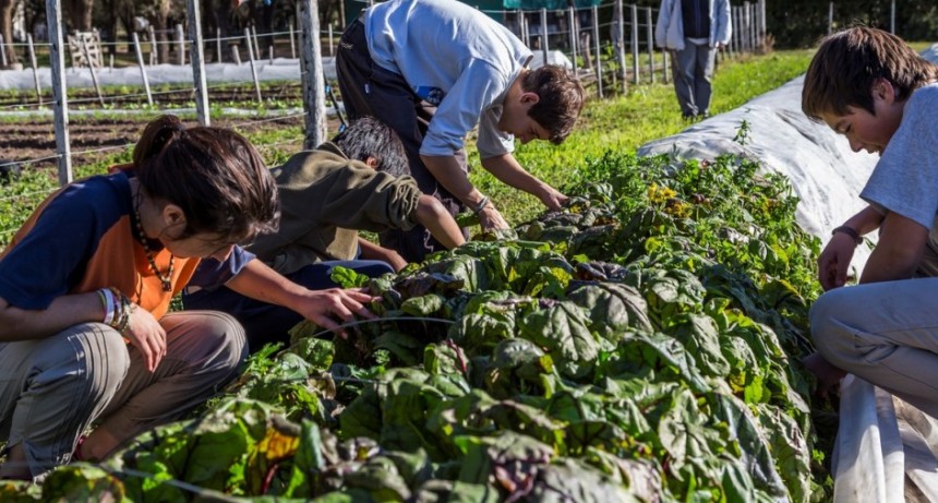 La educación agraria se enfoca hacia las nuevas tecnologías