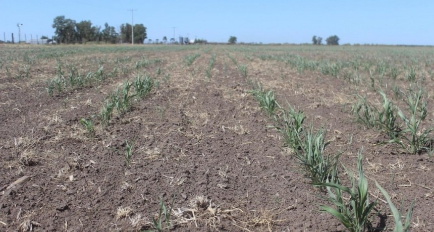 Por la sequ&iacute;a, el Gobierno y el FMI acordaron un cambio en las metas de acumulaci&oacute;n de reservas