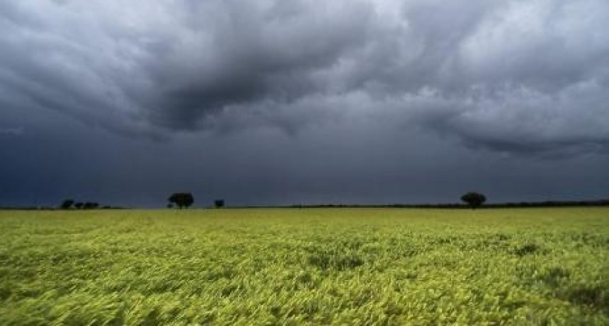 Pronostican que las lluvias abundantes para el campo llegar&aacute;n en abril y se extender&aacute;n en 2024