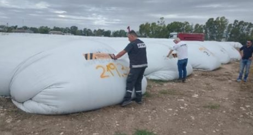 AFIP incaut&oacute; 270 toneladas de ma&iacute;z en una planta de acopio