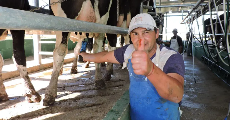  Sin precedentes: anuncian créditos para tamberos a pagar en litros de leche