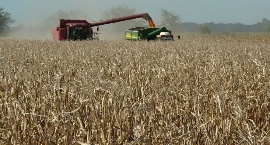 Sube la presión tributaria por mayores costos y menores precios agrícolas 