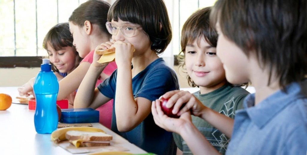 Cantinas escolares: qué se está haciendo en Santa Fe para mejorar la alimentación