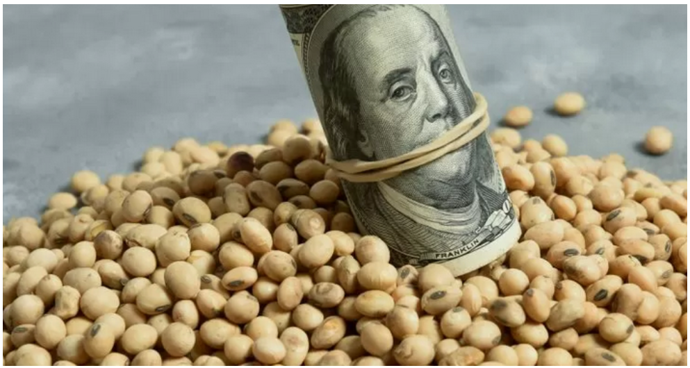 ¿Presionará el dólar a la suba de los precios agrícolas?