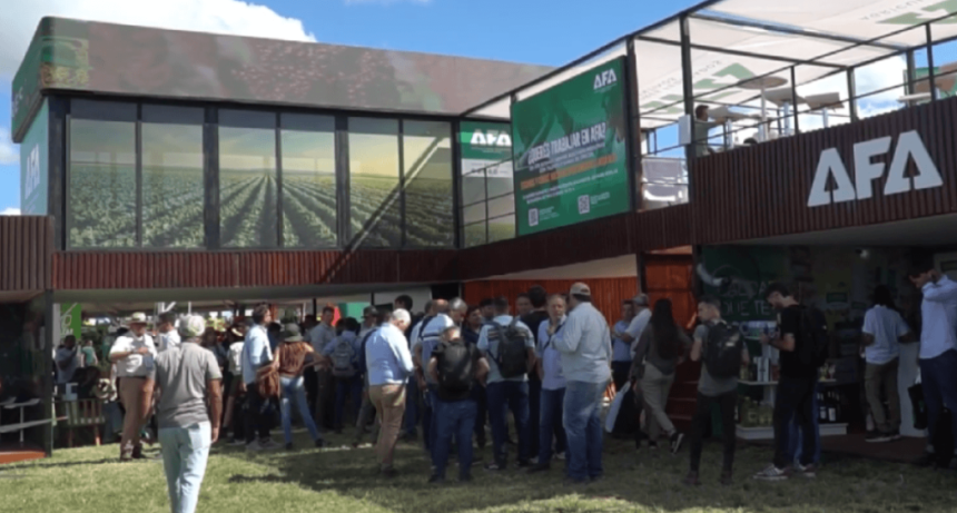 El temor de los agricultores federados de cara a la siembra de trigo: la escalada de precios de los fertilizantes