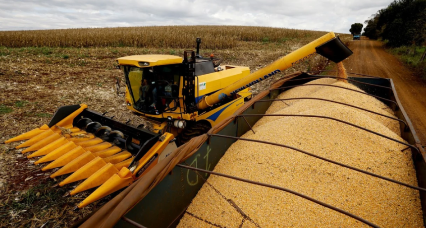 La cosecha gruesa toma ritmo: finaliz&oacute; el girasol y se acelera el ma&iacute;z temprano