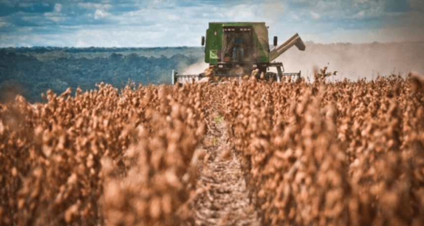 El conflicto global empuja a la soja y Argentina queda frente a una oportunidad &uacute;nica