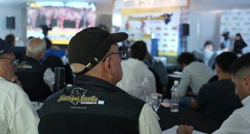 Precios firmes y expectativas en alza: la ganader&iacute;a entr&oacute; en fase de retenci&oacute;n para pegar un nuevo salto