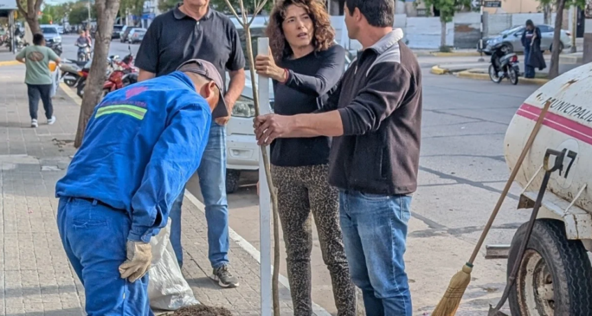 Vera impulsa un plan de forestaci&oacute;n urbana con participaci&oacute;n de instituciones locales